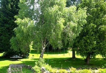 Hotel La Clairiere Chambon-sur-Dolore Εξωτερικό φωτογραφία
